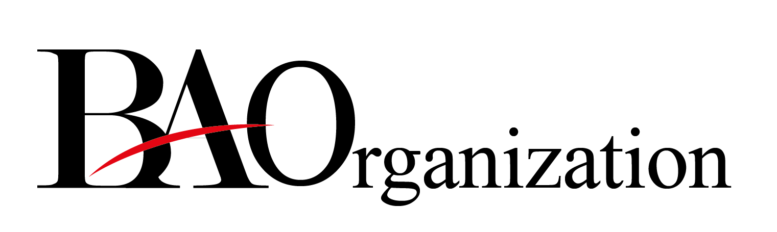 Barış Akın Organization