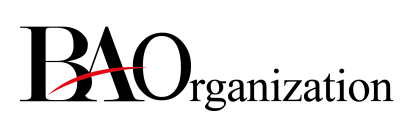 Barış Akın Organization